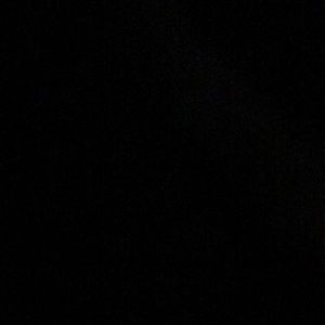 Meet your Posher, Latresha